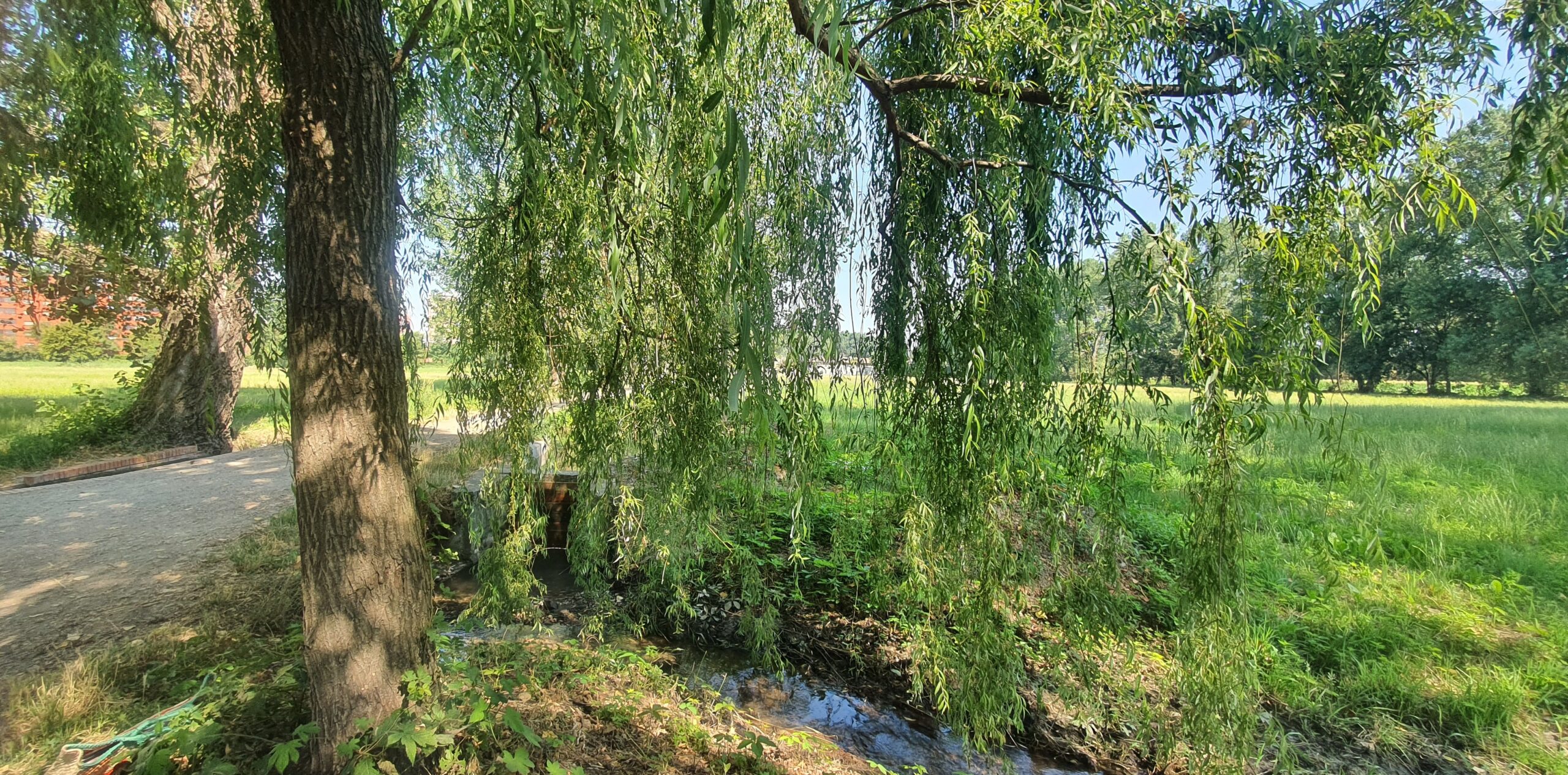 20220703_101740